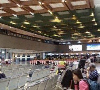 IMAGE 2025-11-10 17:24:04